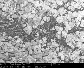 /static/micrographs/micrograph484.png