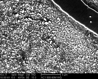 /static/micrographs/micrograph486.png
