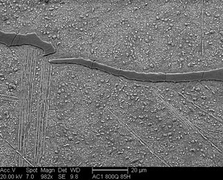 /static/micrographs/micrograph488.png