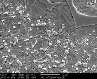 /static/micrographs/micrograph489.png