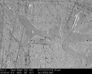 /static/micrographs/micrograph49.png