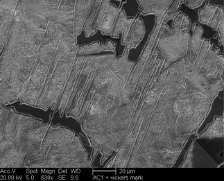 /static/micrographs/micrograph490.png