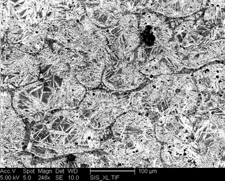 /static/micrographs/micrograph492.png
