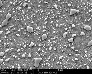 /static/micrographs/micrograph493.png