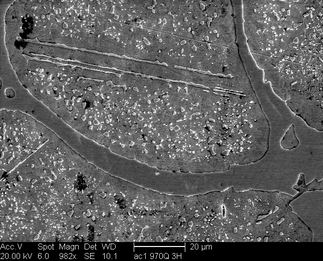 /static/micrographs/micrograph495.png