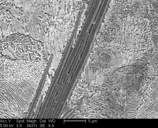 /static/micrographs/micrograph496.png