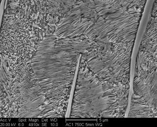 /static/micrographs/micrograph5.png