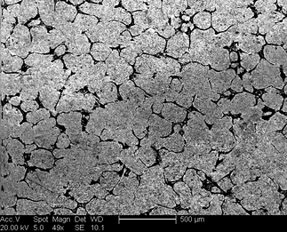 /static/micrographs/micrograph500.png