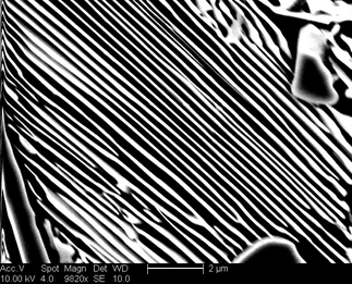 /static/micrographs/micrograph501.png