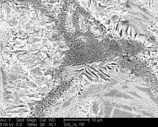 /static/micrographs/micrograph502.png