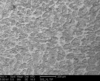 /static/micrographs/micrograph51.png