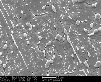 /static/micrographs/micrograph512.png