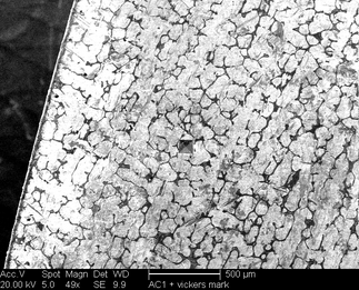 /static/micrographs/micrograph514.png