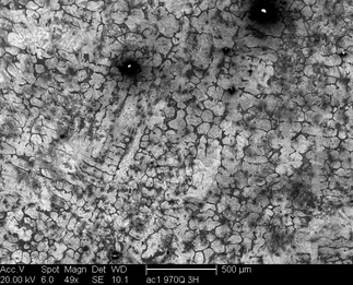/static/micrographs/micrograph518.png