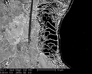 /static/micrographs/micrograph52.png