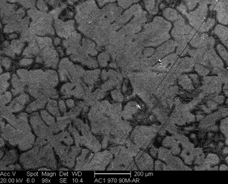 /static/micrographs/micrograph520.png