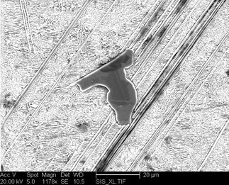 /static/micrographs/micrograph523.png