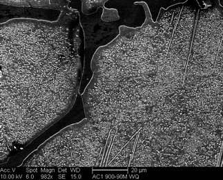 /static/micrographs/micrograph524.png
