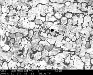 /static/micrographs/micrograph528.png