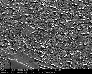 /static/micrographs/micrograph53.png