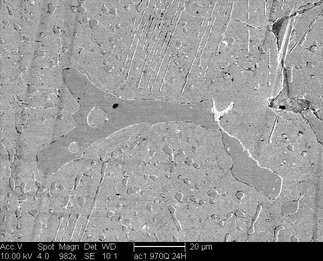 /static/micrographs/micrograph530.png