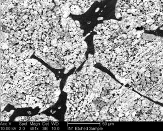 /static/micrographs/micrograph532.png