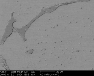/static/micrographs/micrograph534.png