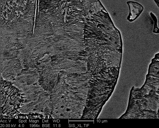 /static/micrographs/micrograph535.png