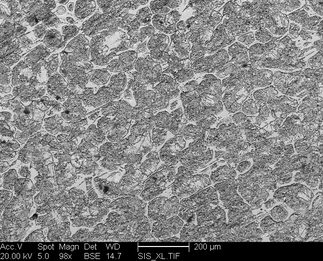 /static/micrographs/micrograph537.png