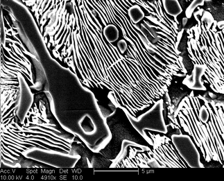/static/micrographs/micrograph541.png
