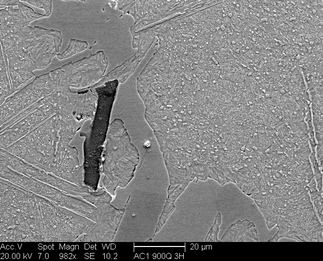 /static/micrographs/micrograph543.png