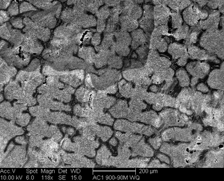 /static/micrographs/micrograph545.png