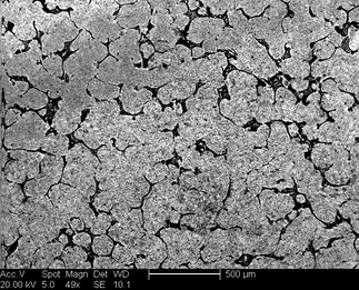 /static/micrographs/micrograph546.png