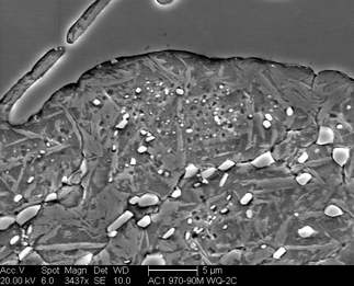 /static/micrographs/micrograph548.png