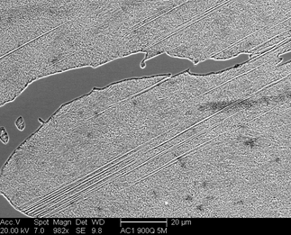 /static/micrographs/micrograph553.png