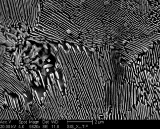/static/micrographs/micrograph554.png