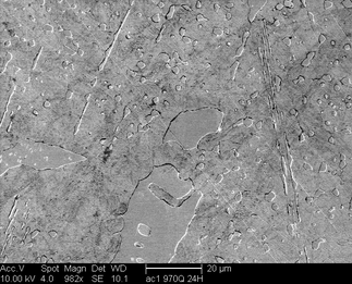 /static/micrographs/micrograph555.png