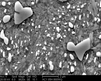/static/micrographs/micrograph558.png