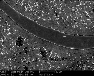 /static/micrographs/micrograph561.png