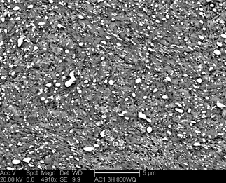 /static/micrographs/micrograph565.png