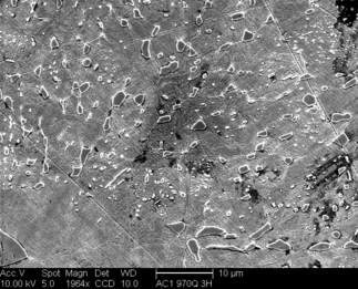 /static/micrographs/micrograph566.png