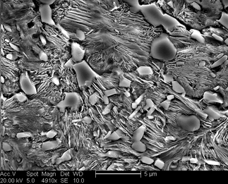 /static/micrographs/micrograph567.png