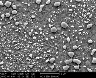 /static/micrographs/micrograph568.png