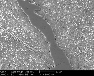 /static/micrographs/micrograph569.png