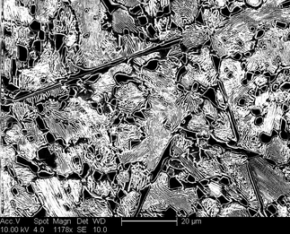 /static/micrographs/micrograph572.png