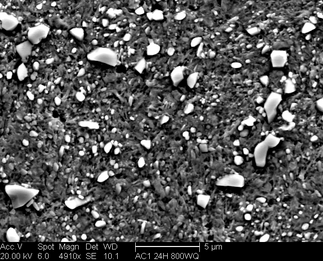 /static/micrographs/micrograph573.png
