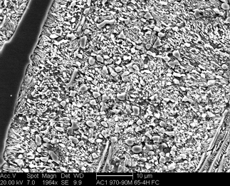 /static/micrographs/micrograph576.png