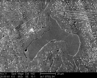 /static/micrographs/micrograph579.png