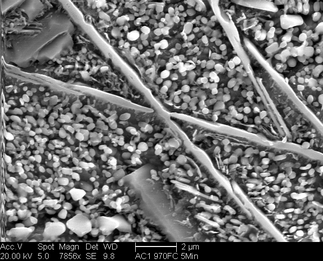/static/micrographs/micrograph586.png