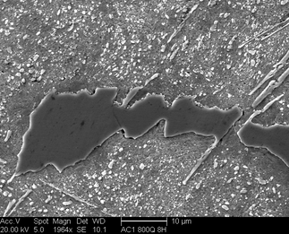 /static/micrographs/micrograph589.png